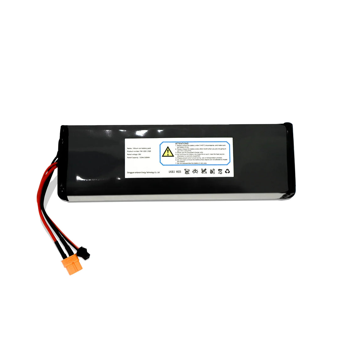 Electric Scooter Batteries